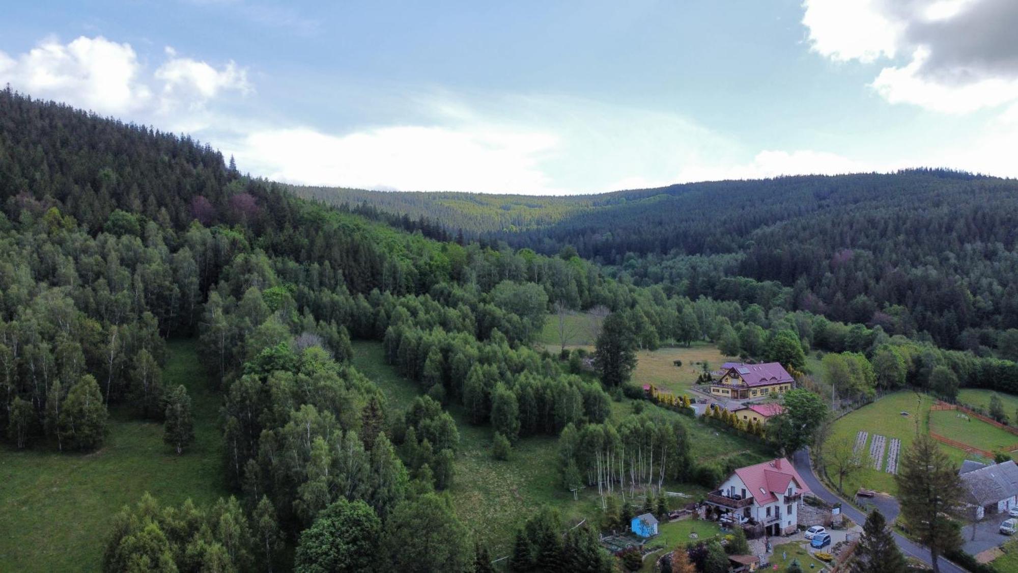 Strefa Ciszy -Lawenda Appartement Świeradów-Zdrój Buitenkant foto