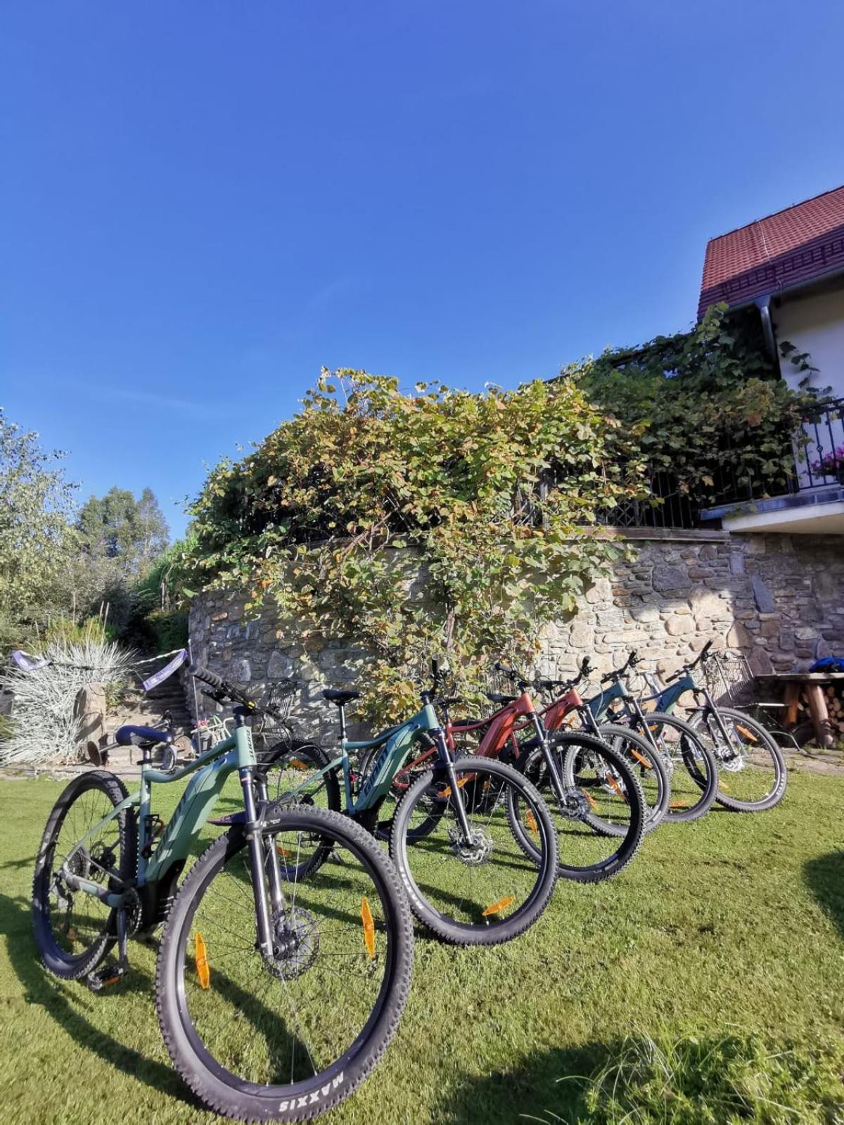 Strefa Ciszy -Lawenda Appartement Świeradów-Zdrój Buitenkant foto
