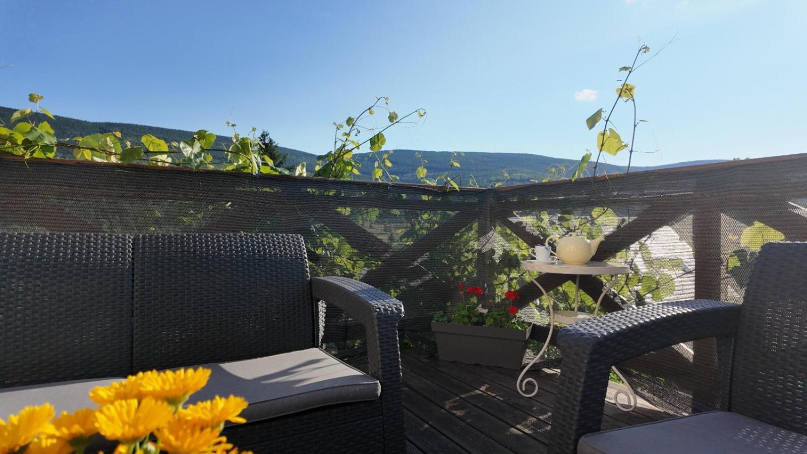 Strefa Ciszy -Lawenda Appartement Świeradów-Zdrój Buitenkant foto